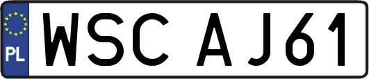 WSCAJ61