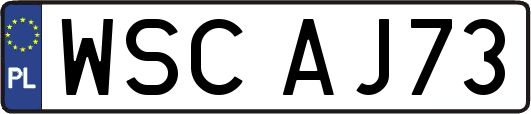 WSCAJ73