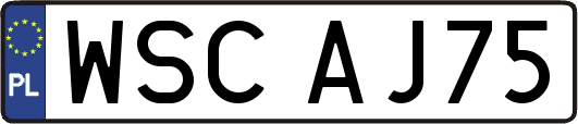 WSCAJ75