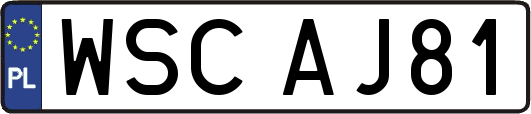 WSCAJ81
