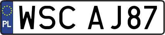 WSCAJ87