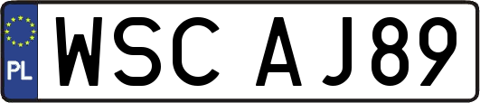 WSCAJ89