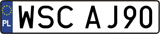 WSCAJ90