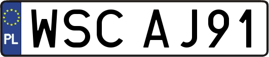 WSCAJ91