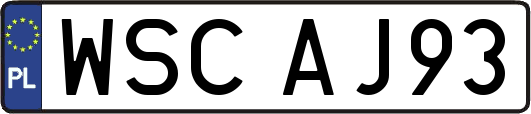 WSCAJ93