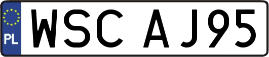 WSCAJ95