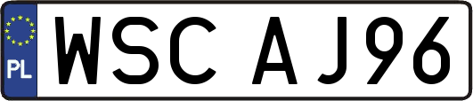 WSCAJ96
