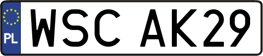 WSCAK29