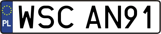 WSCAN91