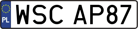 WSCAP87