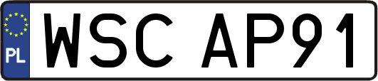 WSCAP91