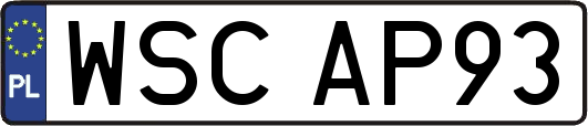 WSCAP93