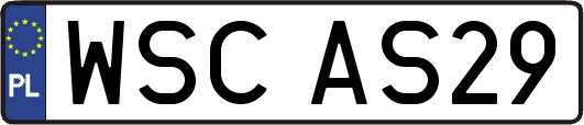WSCAS29