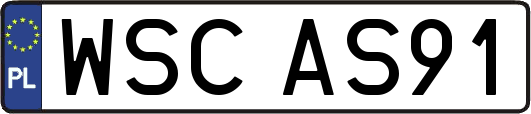 WSCAS91