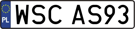 WSCAS93