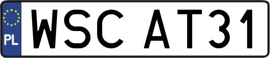 WSCAT31
