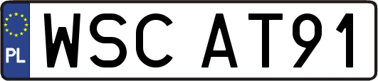 WSCAT91