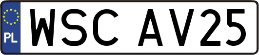 WSCAV25