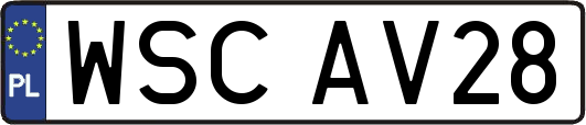 WSCAV28