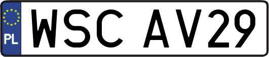 WSCAV29
