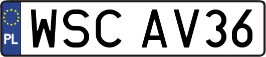 WSCAV36