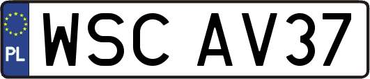 WSCAV37