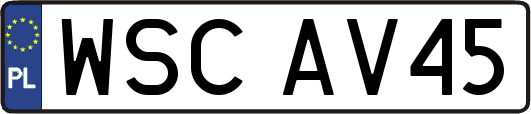 WSCAV45