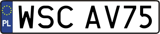 WSCAV75