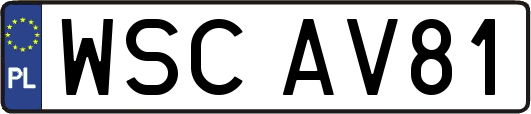 WSCAV81