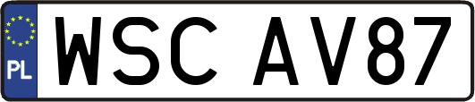 WSCAV87