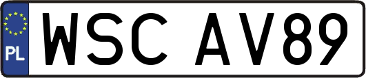 WSCAV89
