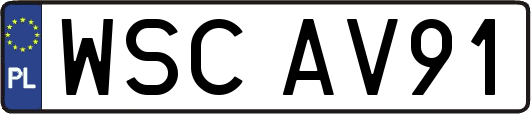 WSCAV91