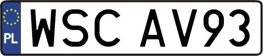 WSCAV93