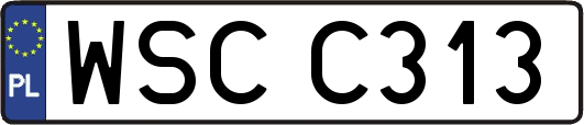 WSCC313