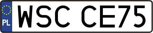 WSCCE75