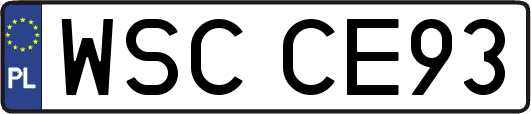 WSCCE93