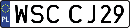 WSCCJ29