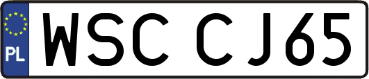 WSCCJ65