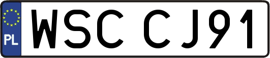 WSCCJ91