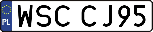 WSCCJ95