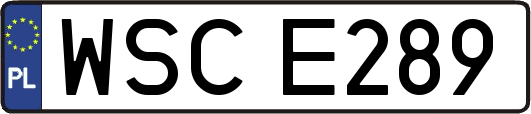 WSCE289