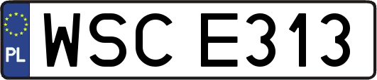 WSCE313