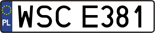 WSCE381
