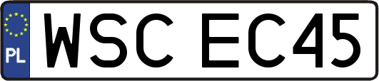 WSCEC45