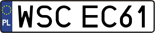 WSCEC61