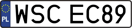 WSCEC89