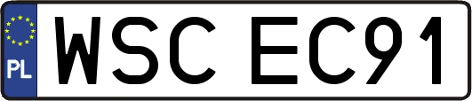 WSCEC91