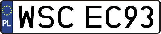 WSCEC93