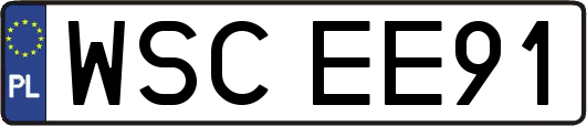 WSCEE91