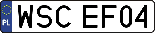 WSCEF04